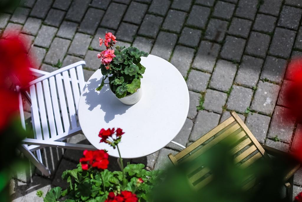 Pension Gallery براشوف المظهر الخارجي الصورة